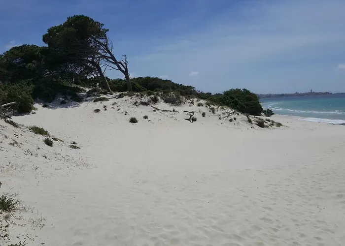 Casaale Διαμέρισμα